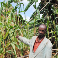 Joas Maregeya : « Ils nous donnent des trucs à mettre dans nos champs mais personne ne nous explique comment ça marche » ©Iwacu