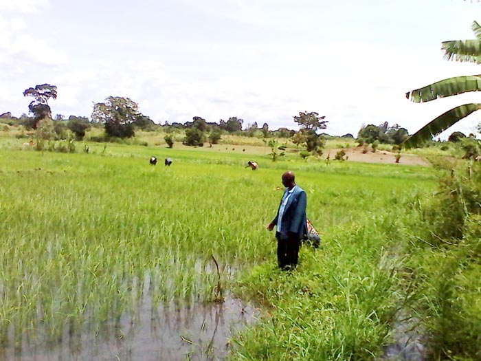 Déo Ndayegamiye montrant avec fierté son champ de riz dans le marais de KinwaBientôt les marchandises seront inspectées par les scanner de la CotecnaCharles Nihangaza : « Il faut donc réviser cette taxe et préciser les produits taxables bénéficiaires » ©Iwacu