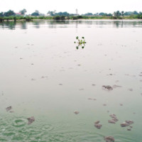 Les eaux du Lac Tanganyika de plus en plus polluées ©Iwacu
