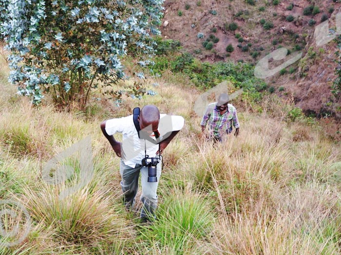 Mardi, deux des quatre journalistes remontent de la vallée de Bihongo, ils viennent de découvrir un autre corps