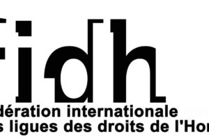 drapeau-fidh