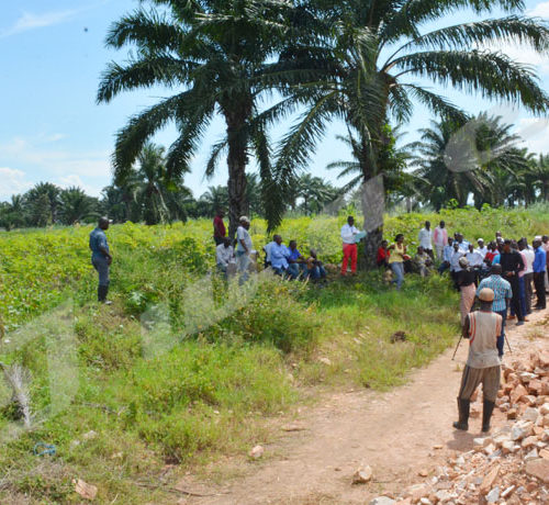 Lundi, 28 mai 208 - La Commission  nationale des terres et autres bien a restitué un terrain de 3 ha à la succession Issa Gahinga. La partie lésée  va porter plainte