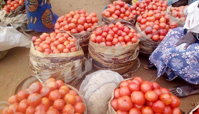 Cibitoke : Ils réclament un marché de tomates