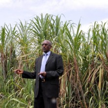 Audace Bukuru, administrateur directeur général de la Sosumo : « C’est la campagne la plus longue (202 jours) depuis le début de la production du sucre le 20 juillet 1988. » ©Iwacu