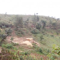 Vue partielle de la colline Kirasira ©Iwacu