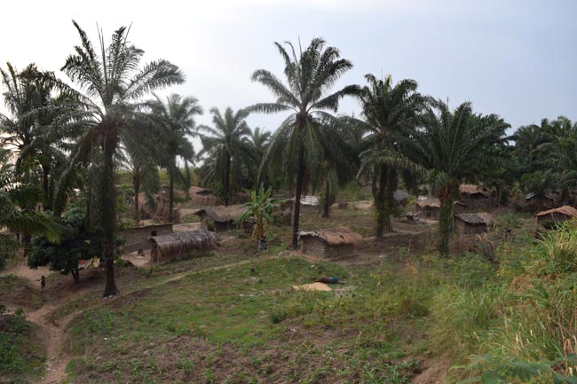 Kinogono pit-dwellers’ huts