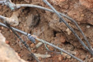 Electrical cables exposed in Kinindo zone, south of the capital Bujumbura
