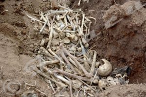 A mass grave in Gasenyi locality of Rusaka Commune in Mwaro Central Province.
