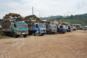 Trucks overloaded with charcoal 