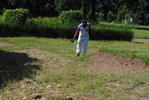 “Jardin Public” is one of the very few green spaces which are protected in Bujumbura 