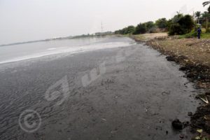 Lake Tanganyika is mainly threatened by industrial wastes…