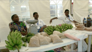 Farmers displayed some of their products