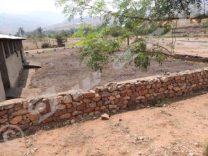 15 cows and 20 goats are slaughtered everyday on the bank of Mugere River