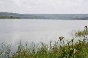 Rweru River threatened by water hyacinth and pollution 