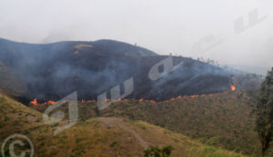 Bush fires destroying a forest in Gisuru Commune, Ruyigi province 