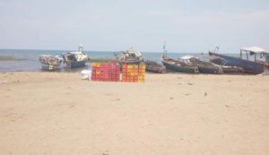 One of the ten boats on the shore of Lake Tanganyika being unloaded of a few boxes of fish and empty racks of “Primus” beer.