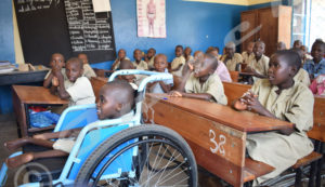 Disabled and able-bodied children study together in class