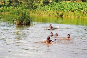Des bananiers sur le littoral du lac Cohoha