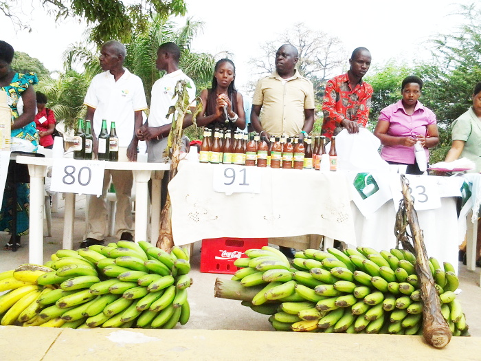 Foire agricole au Musée Vivant, a Bujumbura ©Iwacu