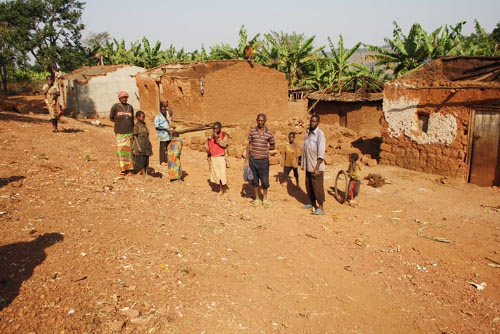 Les déguerpis de la colline Kididiri sont acculés à démolir eux-mêmes leurs maisons. La plupart dorment à la belle étoile dans un caféier ©Iwacu