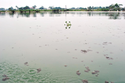 Les eaux du Lac Tanganyika de plus en plus polluées ©Iwacu