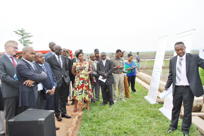 Visites des officiels dans les champs d’expérimentation de l’IRRI à Gihanga ©Iwacu