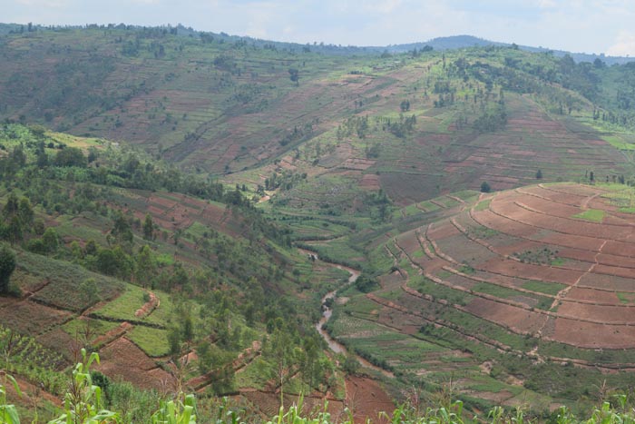 Des courbes de niveaux sur les collines de la commune Bisoro et Nyarusange surplombant  la rivière Waga ©Iwacu