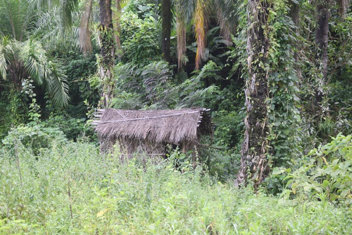 Les recrues se reposent souvent dans cette maisonnette avant de continuer vers Kuwinka ©Iwacu