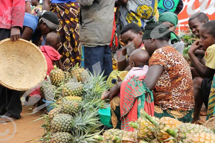 Le commerce d’ananas, une roue de secours pour les foyers de Murwi