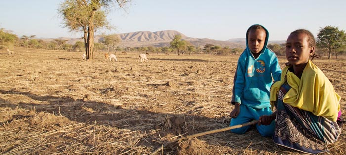 Champ ravagé par La Nina