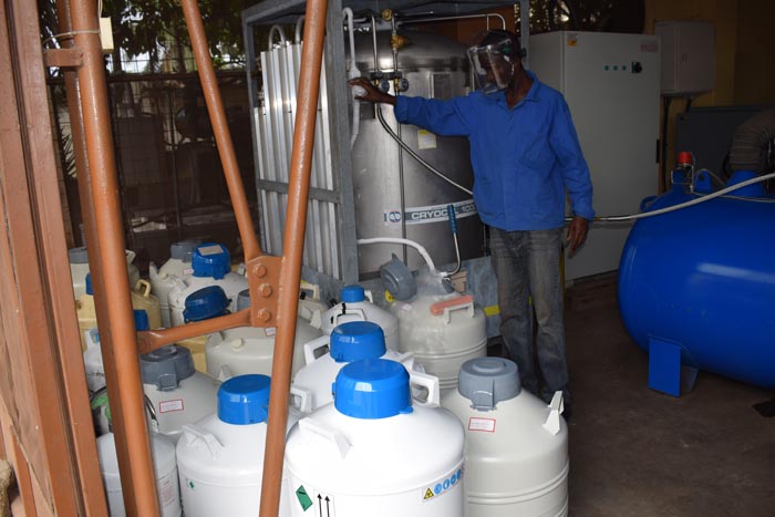 Un des techniciens du CNIA en train de mettre l’azote liquide dans une cuve. 