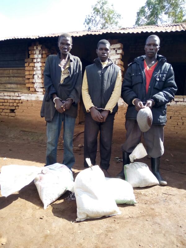 Quelques sacs de coltan saisis à Kabarore, leurs propriétaires arrêtés 