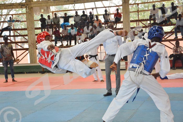 Taekwondo : le club pionnier face à mille et un défis