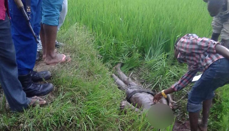 Kinama : un corps décapité retrouvé dans une rizière avec un message
