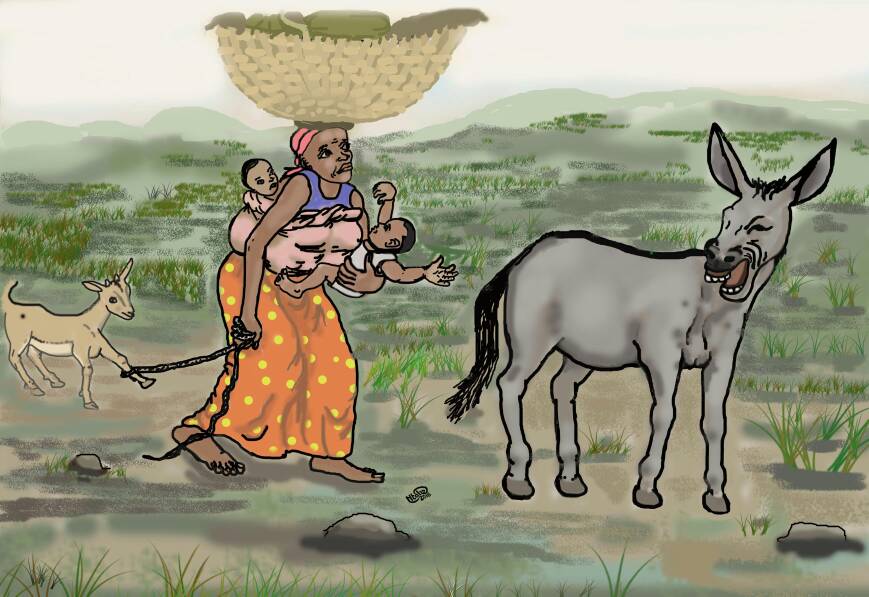 Opinion – Soulager la peine de la paysanne burundaise par les ânes est une insulte suprême*