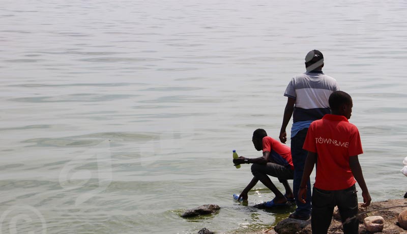 Panique sur le lac Tanganyika