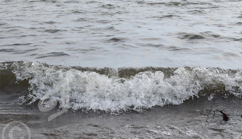 Lac Tanganyika : La coloration verte a disparu