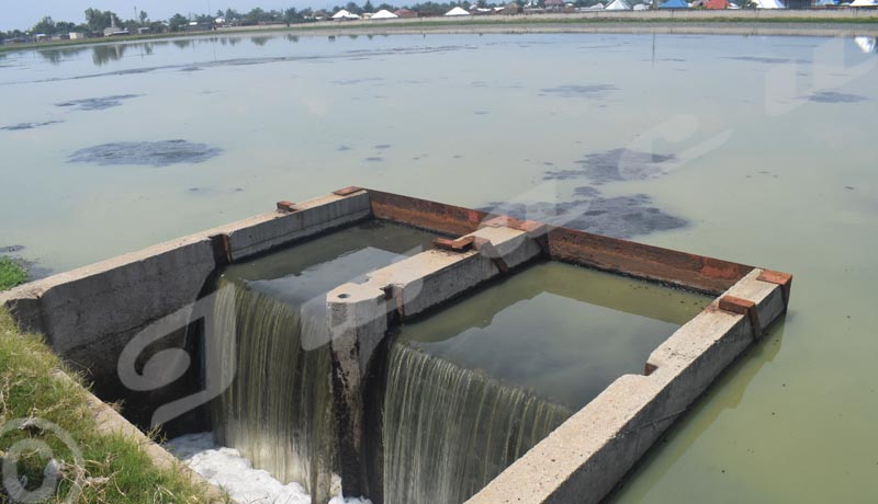 Station d’épuration des eaux usées de Buterere Les riverains dans la tourmente