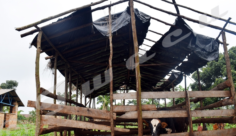 Muyinga, risque de fermeture du centre d’enseignement des métiers