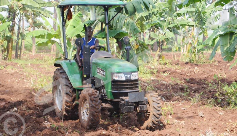 Cibitoke/Rugombo : les agriculteurs protestent contre la destruction de leurs champs