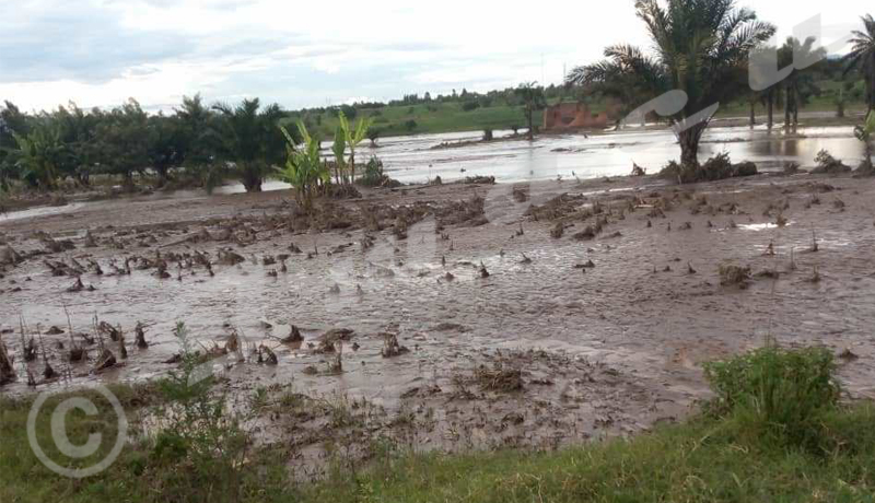 Cibitoke : Quand la Kagunuzi sème la désolation à Buganda