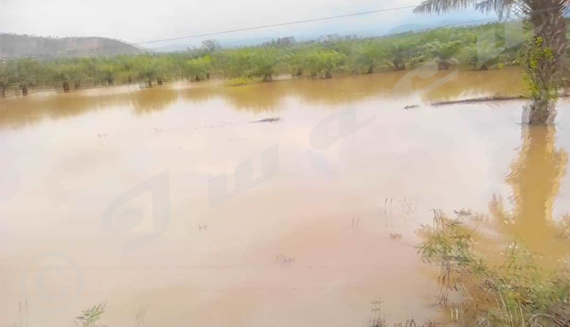 Rumonge : plus de 100 hectares  de cultures inondées