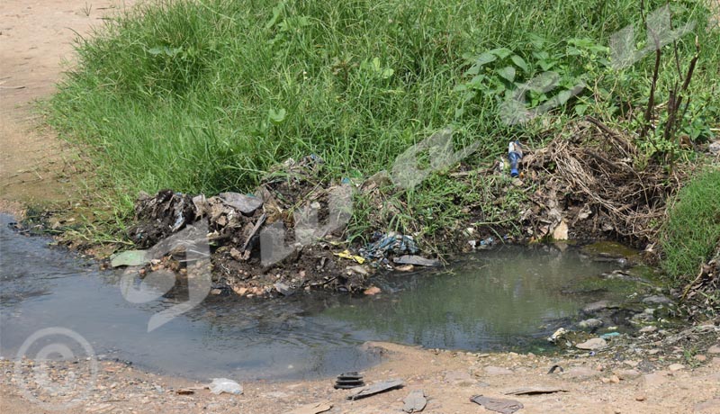 Ngagara/salubrité : Quartier IV, des eaux usées devant les ménages