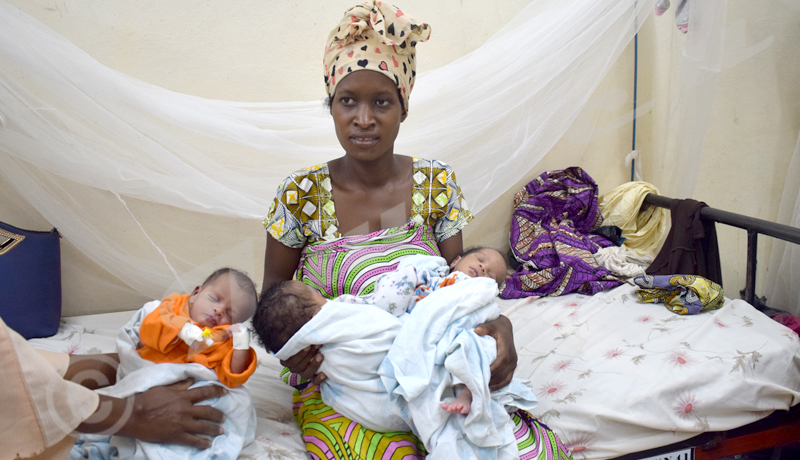 Naissance de triplets, source  de joie et d’angoisse pour les parents