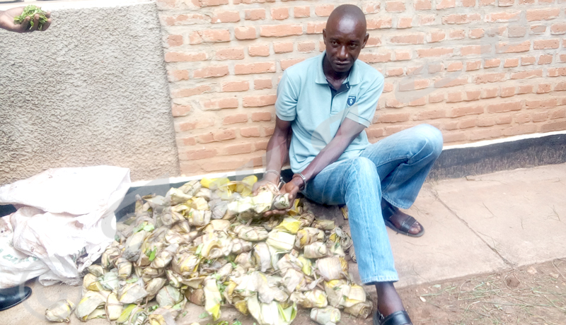 Burundi/Stupéfiants : khat, une nouvelle drogue saisie par la police