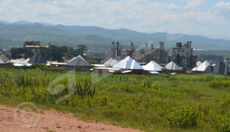 Burundi Cement Company BUCECO, Cibitoke