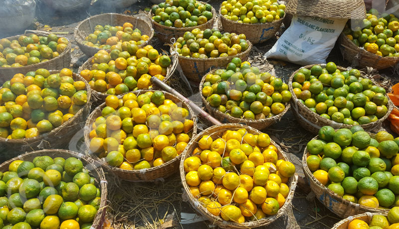 Covid-19 : les vendeuses des fruits travaillent à perte