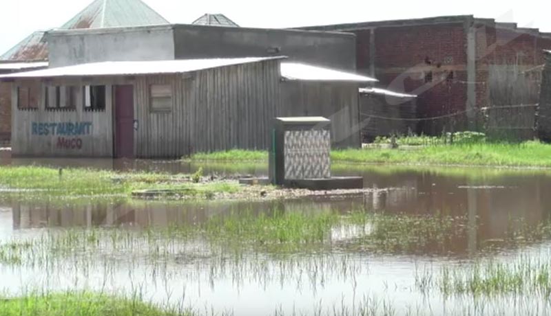 Gatumba est encore une fois inondée, les crocodiles rôdent