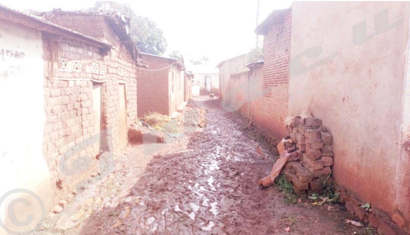 Cibitoke/Rugombo : plus de 350 maisons détruites par les pluies