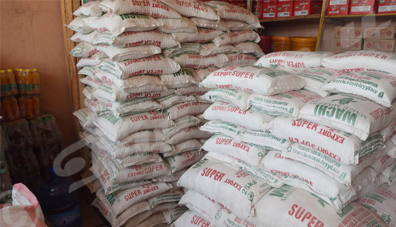 Interdiction d’importer des graines et farine de maïs : une mesure politique ?